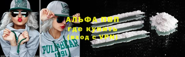 стафф Дмитриев