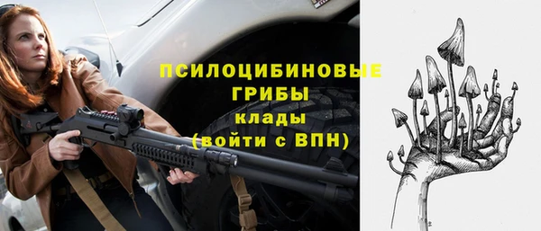 стафф Дмитриев