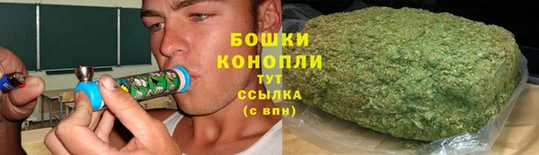 стафф Дмитриев