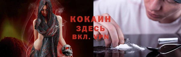стафф Дмитриев