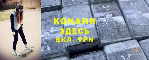 стафф Дмитриев