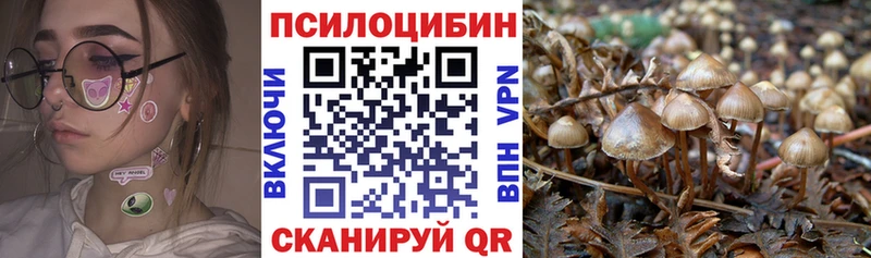 Псилоцибиновые грибы Magic Shrooms  Купить где  Тогучин 